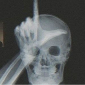 Meet your Posher, Tamara